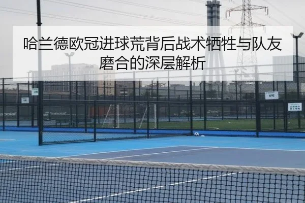 ha-lan-de-ou-guan-jin-qiu-huang-bei-hou-zhan-shu-xi-sheng-yu-dui-you-mo-he-de-shen-ceng-jie-xi-2-691.jpg