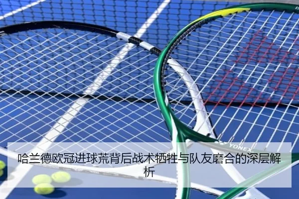 ha-lan-de-ou-guan-jin-qiu-huang-bei-hou-zhan-shu-xi-sheng-yu-dui-you-mo-he-de-shen-ceng-jie-xi-3-867.jpg